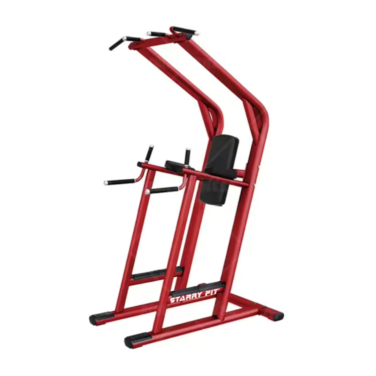 Leg Raise<br />LF-L-SCDLR