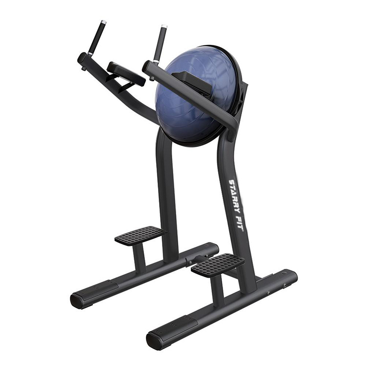 Leg Raise<br />LF-R-SLR