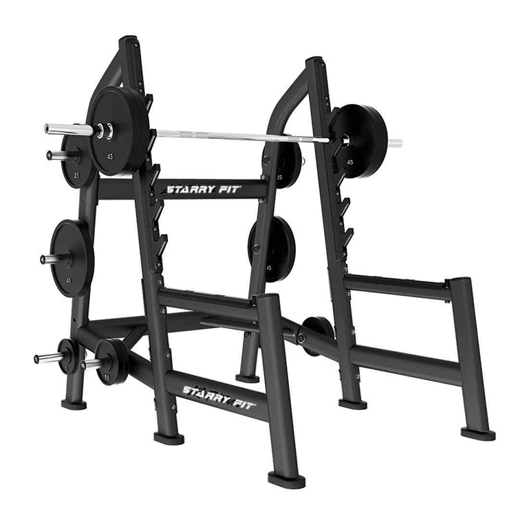 Squat  Rack<br />LF-R-SOSR