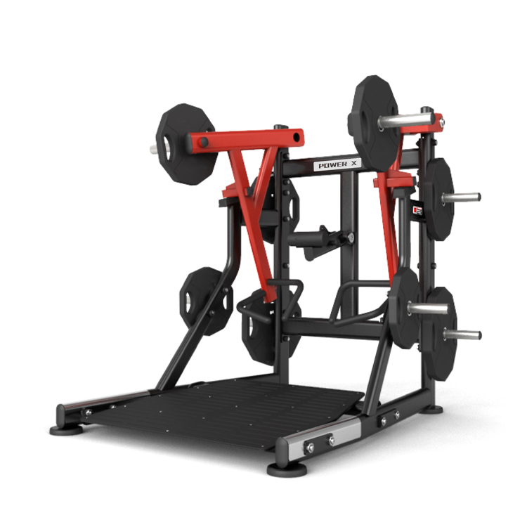 Low Row(Dual Handle  )<br />DLP204-B