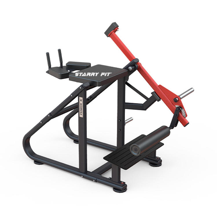 Reverse Hyper<br />DLP219