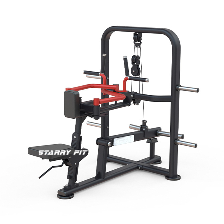 Seated Rear Deltoid Shoulder<br />DLP260