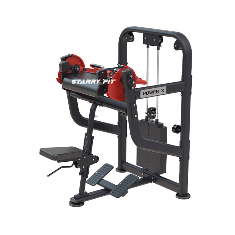 Biceps MaChine<br />DLP281