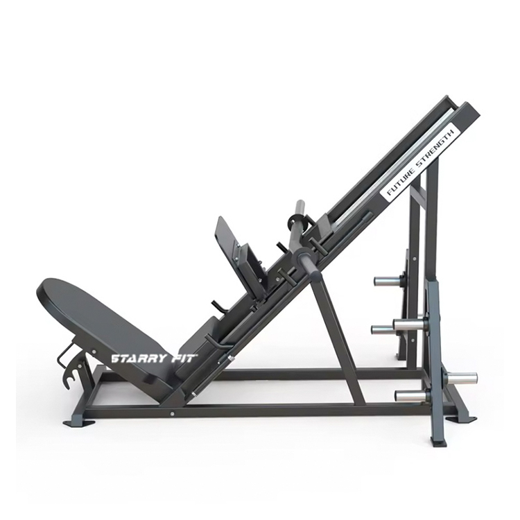 Leg Press<br />FL310