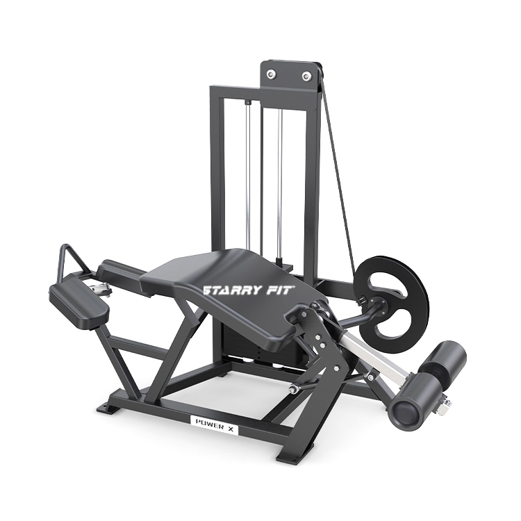 Lying Leg Curl<br />FL365