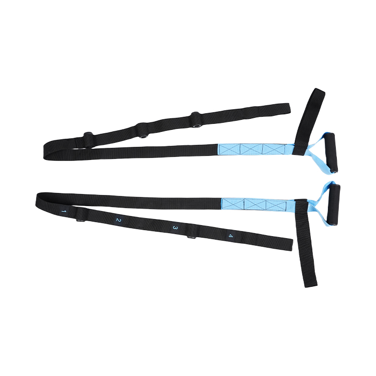 TRX Basic Suspension Training Strap