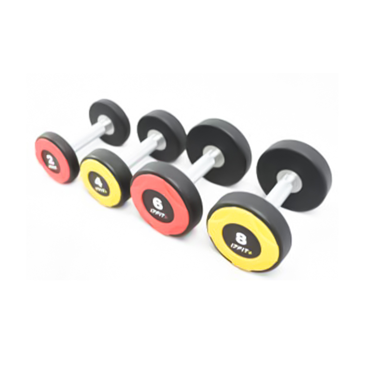 17Fit CPU/Solid Steel Dumbbells (kg)