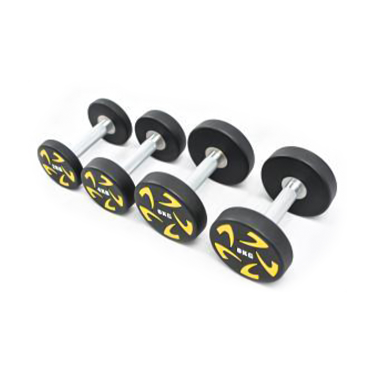 Fenhuolun CPU Round Head Solid Steel Dumbbells 2kg Series Fenhuolun CPU Round Head Solid Steel Dumbbells 2kg Series
