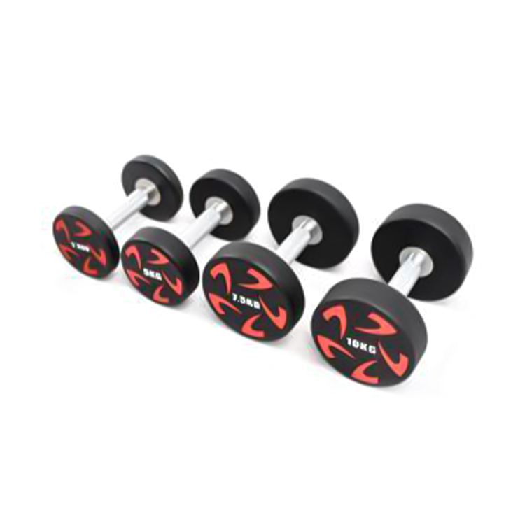 Fenhuolun CPU Round Head Solid Steel Dumbbells 2.5kg Series