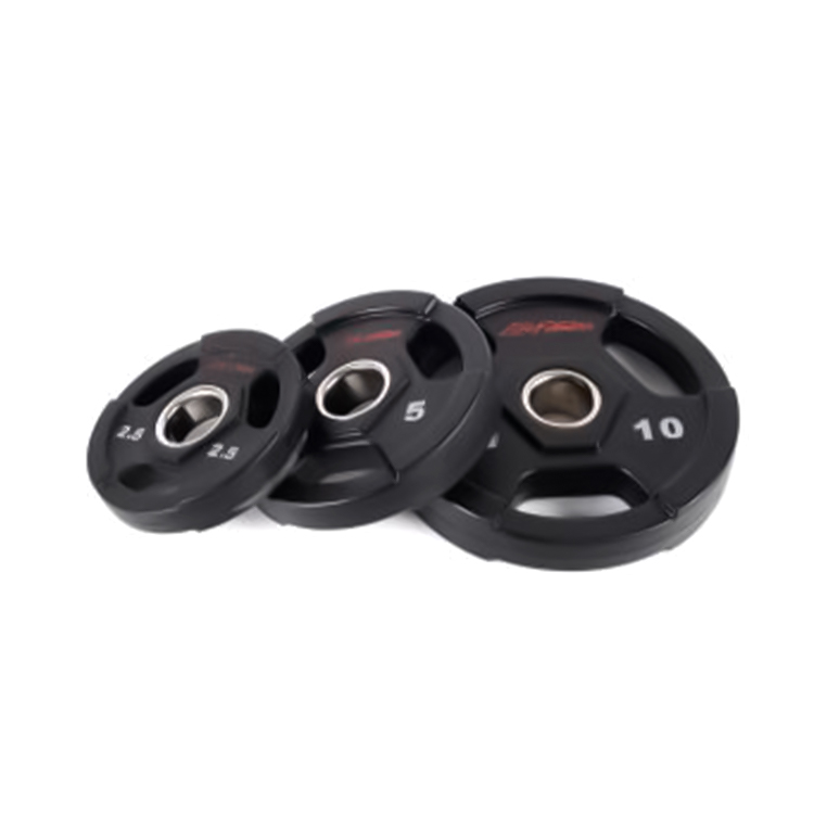 Lifefitness Rubber-Encased Weight Plates (kg) Lifefitness Rubber-Encased Weight Plates (kg)